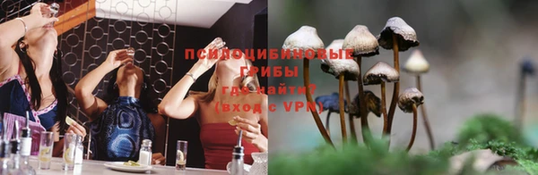 COCAINE Ессентукская