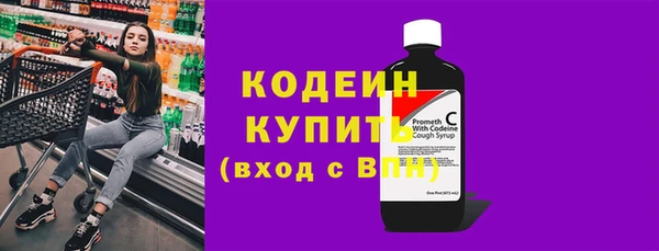 молекула духа Кулебаки