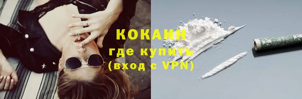 молекула духа Кулебаки