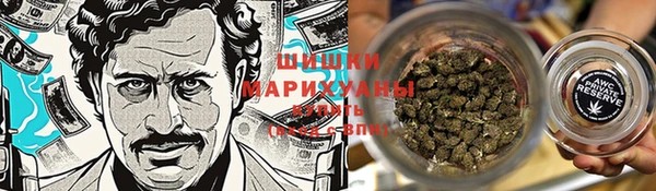 молекула духа Кулебаки