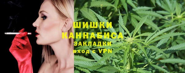 молекула духа Кулебаки