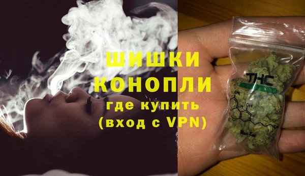 молекула духа Кулебаки