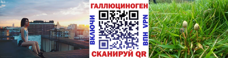 что такое   Южно-Сахалинск  Галлюциногенные грибы GOLDEN TEACHER 